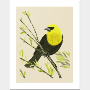 Yellow-headed Blackbird Posters and Art